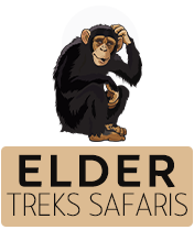 eldertreks copy